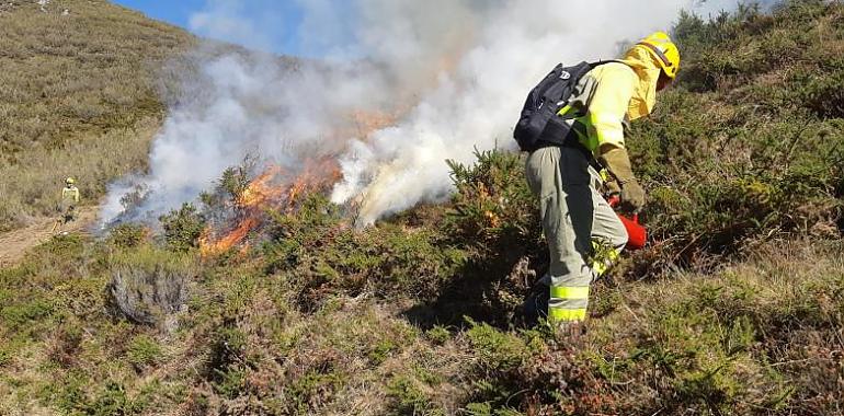 Prevenir y gestionar: la mejor receta contra la plaga de incendios forestales que ha sufrido nuestra región