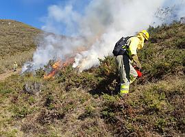 Prevenir y gestionar: la mejor receta contra la plaga de incendios forestales que ha sufrido nuestra región