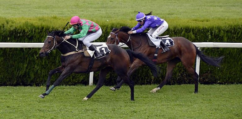 4 consejos al apostar a las carreras de caballos 