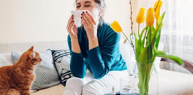 ¿Tienes plantas dentro de casa ¿Sabes que algunas pueden ser peligrosas e incluso venenosas