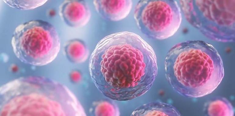 Células madre modificadas genéticamente para luchar contra el cáncer