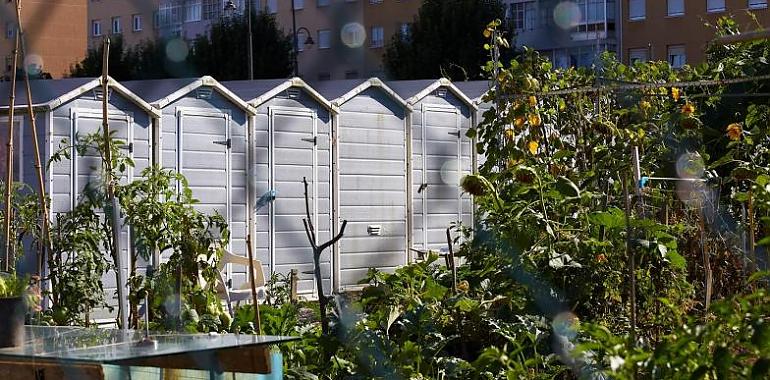 Mucha demanda para los 69 huertos urbanos de Valgranda y el Alto del Vidriero en Avilés