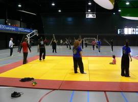 Oviedo acogió los Encuentros de artes marciales y terapias chinas