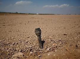 Greenpeace sostiene que en España "no hay agua para tanto regadío"