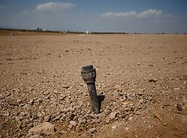 Greenpeace sostiene que en España "no hay agua para tanto regadío"