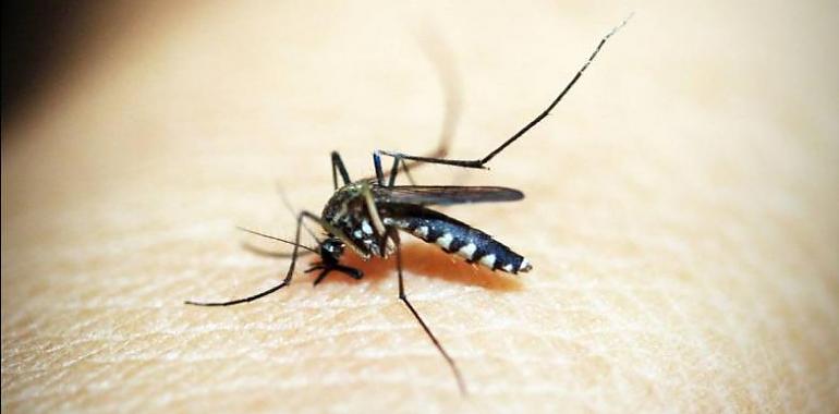 ¿Por qué los mosquitos pican más a unas personas que a otras