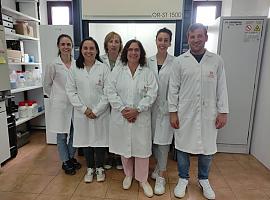 El Serida identifica biomarcadores celulares que permitirán detectar defectos en la calidad de la carne
