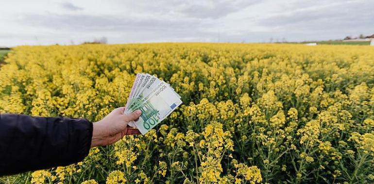 17 millones en ayudas Leader para apoyar 390 proyectos emprendedores en el medio rural