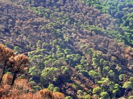 El colegio de ingenieros forestales advierte sobre el peligro de incendios