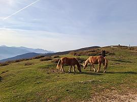 Navelgas celebra el Día de los Pueblos de Asturias