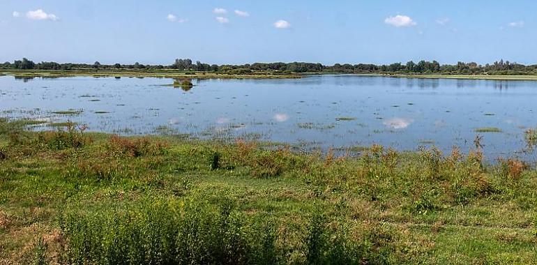 Doñana podría entrar en la Lista del Patrimonio Mundial en Peligro