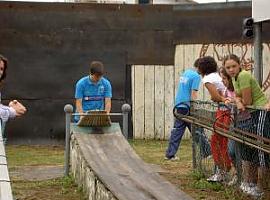 Los bolos regresan a Avilés
