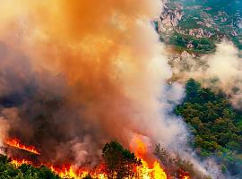 A estas horas se contabilizan en Asturias cuatro incendios forestales