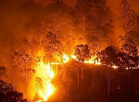 Se contabilizan en Asturias ocho incendios forestales en estos momentos