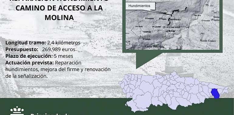 Sale a licitación la reparación de hundimientos en el camino de acceso a La Molina en Cabrales con un presupuesto de casi 270.000 euros