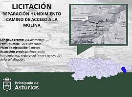 Sale a licitación la reparación de hundimientos en el camino de acceso a La Molina en Cabrales con un presupuesto de casi 270.000 euros