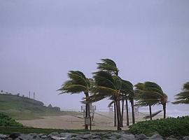 Asturias en Alerta: Más de 70 emergencias por el azote de vientos de hasta 90 km/h