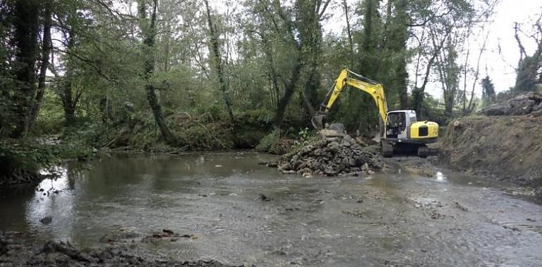 Un respiro para el Río Nora: Finaliza el rescate ecológico de las aguas de Meres