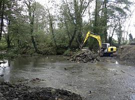 Un respiro para el Río Nora: Finaliza el rescate ecológico de las aguas de Meres