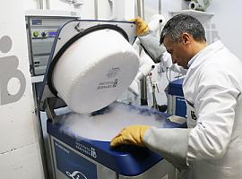 Desafíos éticos y logísticos en España ante los más de 60.000 embriones humanos congelados abandonados