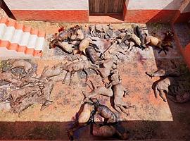 Desvelado el mayor ritual de sacrificio de animales del Mediterráneo Occidental 