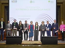 Un equipo de la Universidad de Oviedo gana el Premio NAOS por un proyecto innovador que combina educación física y matemáticas para mejorar el aprendizaje en escolares