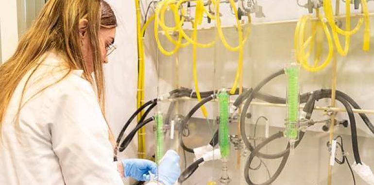 Nuevo y revolucionario antiinflamatorio que podría reemplazar a los corticoides