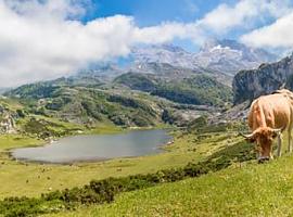 Medio Rural abona más de 26 millones en anticipos de las ayudas directas de la PAC