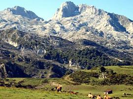 La Red Natural de Asturias se afianza como líder en educación ambiental con una inversión de 7 millones en 3 años