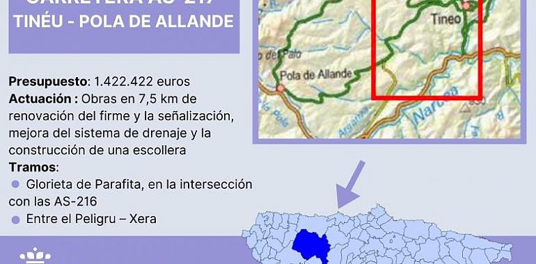 1,4 millones para mejorar la carretera AS217, Tinéu Pola de Allande, a su paso por el concejo de Tineo