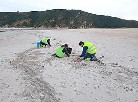 Se eleva a la fase 2 el Plan por Contaminación Marina Accidental ante la detección de microplásticos en la costa