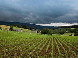 Incremento significativo en las ayudas para seguros agrarios: Medio Rural eleva el fondo a un millón