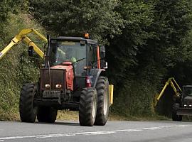 A licitación por siete millones la contratación de actuaciones de desbroces y limpiezas de la red de carreteras