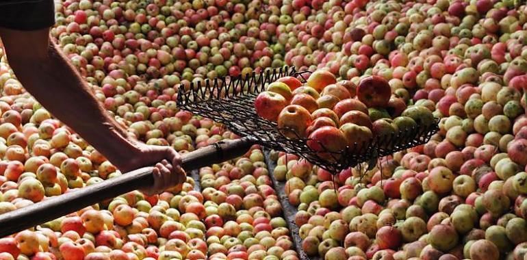 La nueva era de la sidra en Euskadi, Navarra y el País Vasco francés