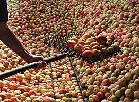 La nueva era de la sidra en Euskadi, Navarra y el País Vasco francés