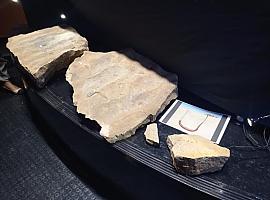 Documentan en Asturias la primera referencia mundial de restos fecales fósiles producidos por gusanos arenícolas