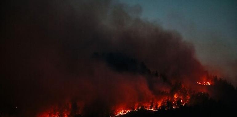 Asturias eleva la alerta ante la oleada de incendios forestales y las condiciones meteorológicas adversas