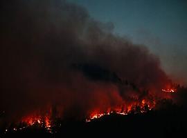 Asturias eleva la alerta ante la oleada de incendios forestales y las condiciones meteorológicas adversas
