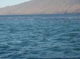 Los buques oceanográficos continúan sus trabajos de investigación en aguas de El Hierro