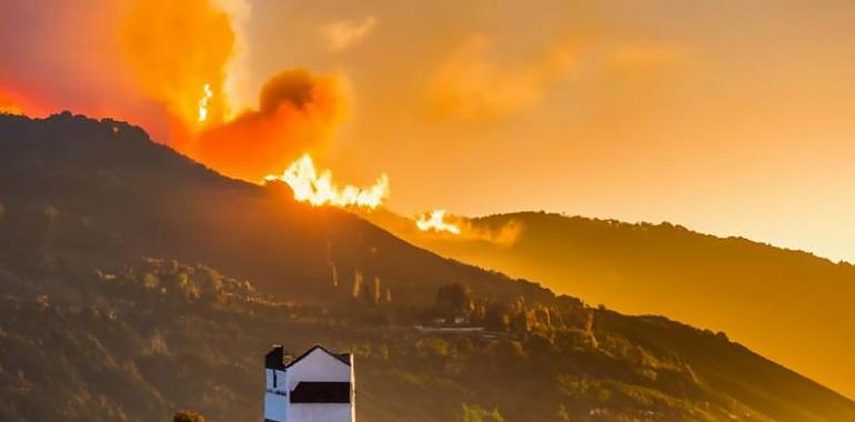 Asturias combate 21 incendios forestales dispersos en 13 concejos