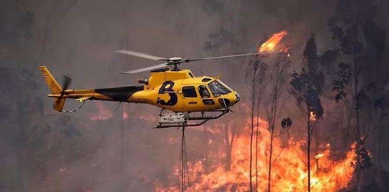 Asturias lucha contra 26 incendios forestales dispersos en 16 Concejos: Situación de Alerta