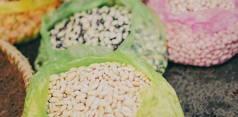 Las legumbres: un tesoro nutricional para una vida saludable