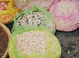 Las legumbres: un tesoro nutricional para una vida saludable