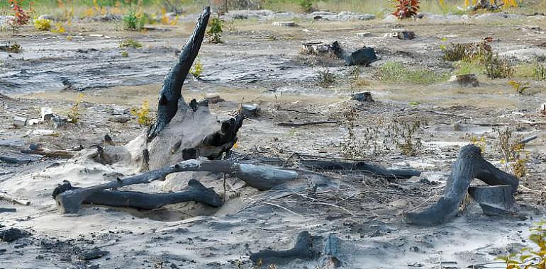 "Karlotta" apaga los incendios en Asturias: Respiro y búsqueda de culpables