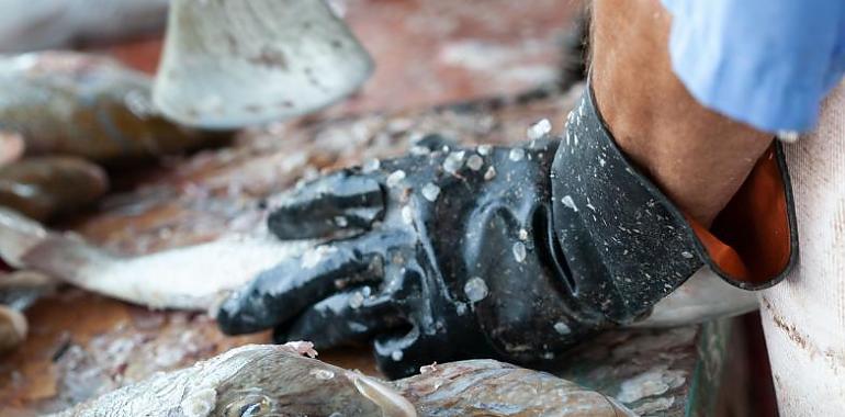 Las pescaderías tradicionales, al borde del colapso, se suman a las protestas del sector primario