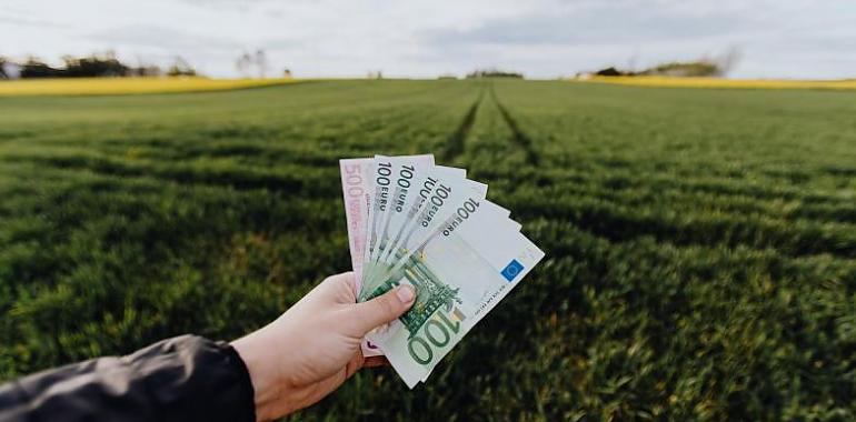 Medio Rural impulsa el desarrollo del campo asturiano con más de 10 millones en ayudas Leader