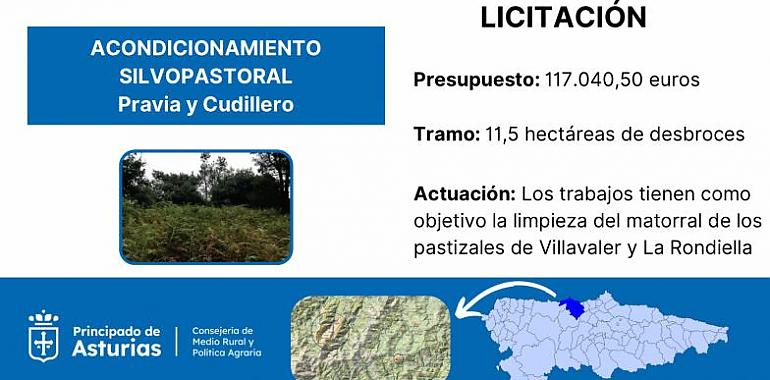 Licitado el desbroce de pastizales en Pravia y Cudillero por 117.000 euros