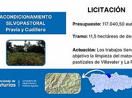 Licitado el desbroce de pastizales en Pravia y Cudillero por 117.000 euros