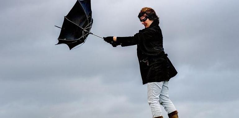 El temporal de viento azota Avilés: árboles caídos, contenedores desplazados y daños materiales