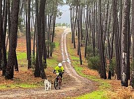 II Copa de Asturias de Mushing